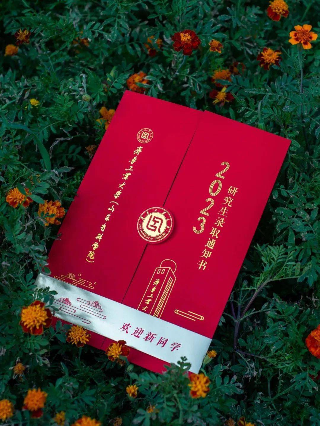 天津师范类大学录取分数线_2023年天津师范大学研究生院录取分数线_天津师范大学最低录取分数线