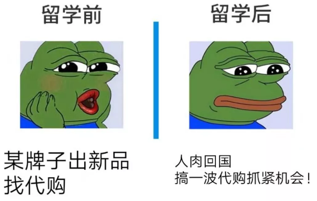 留学初中毕业证有用吗_留学初中毕业可以吗_初中毕业留学
