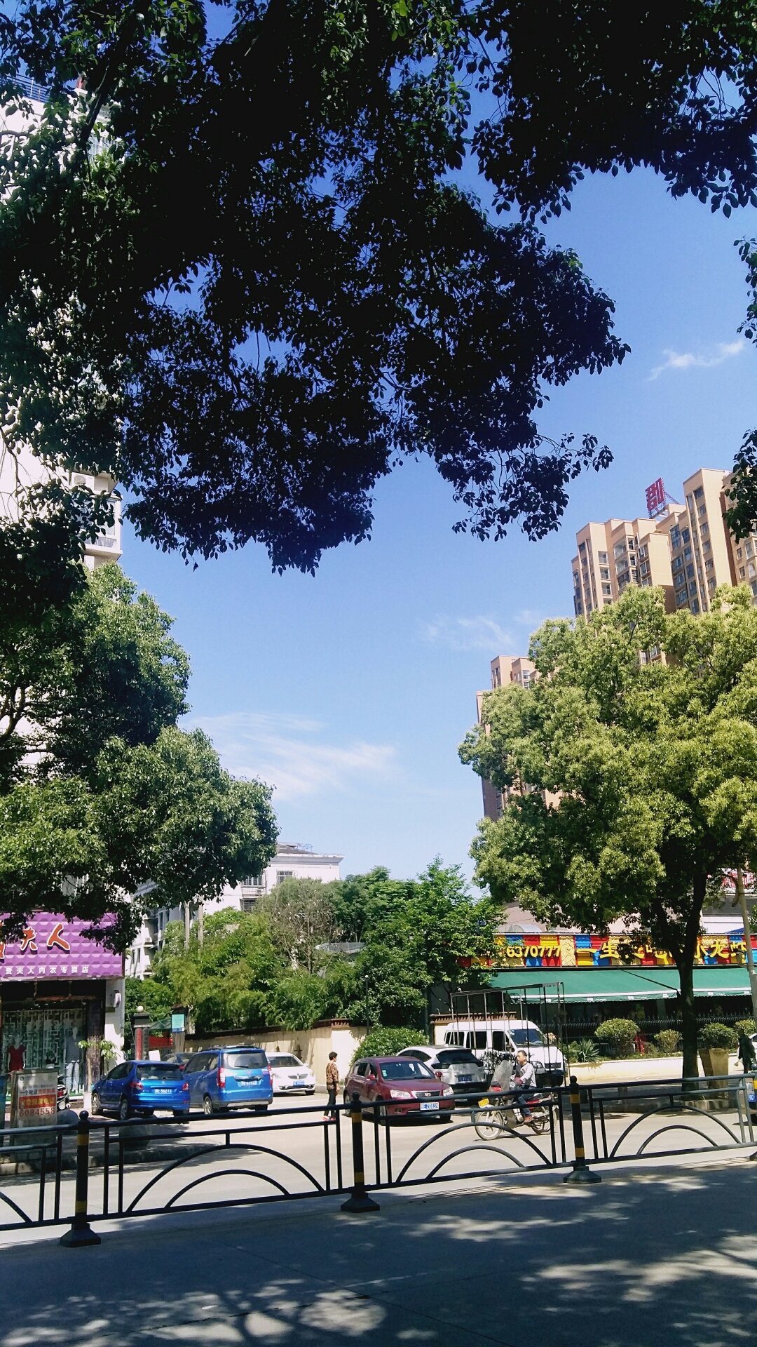东方金业_金东方学校一年学费多少_金东方学校