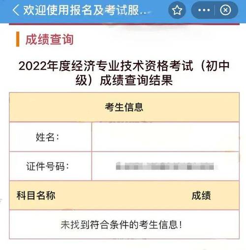 医师执业考试成绩查询时间_2024年执业医师考试成绩查询入口_医师执业资格成绩查询