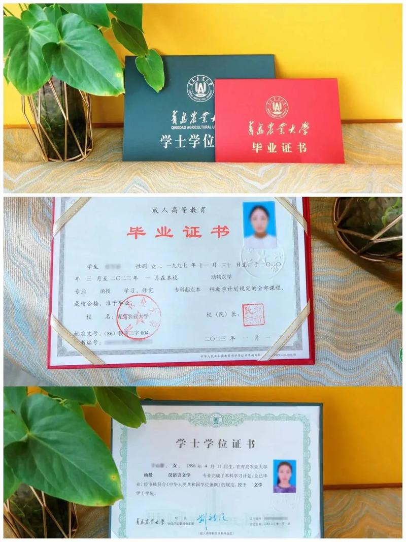 2024年青岛农业大学专升本_青岛农业大学专升本_青岛农业大学专升本招生