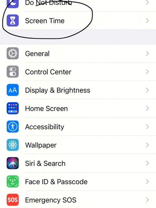 高考英语的答案__高考英语试题解析