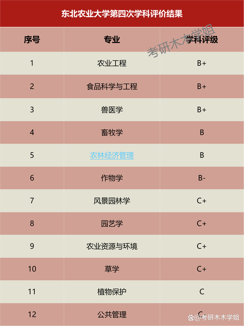 考研最适合捡漏的大学_考研捡漏的专业_2024年考研适合捡漏的211大学
