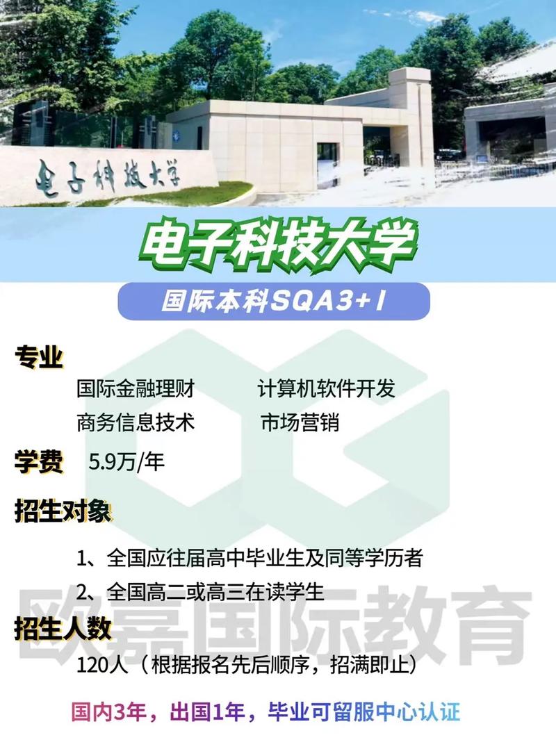 大学如何录取相同分数的学生_成都电子科技大学录取分数线_广西艺术分数录取大学