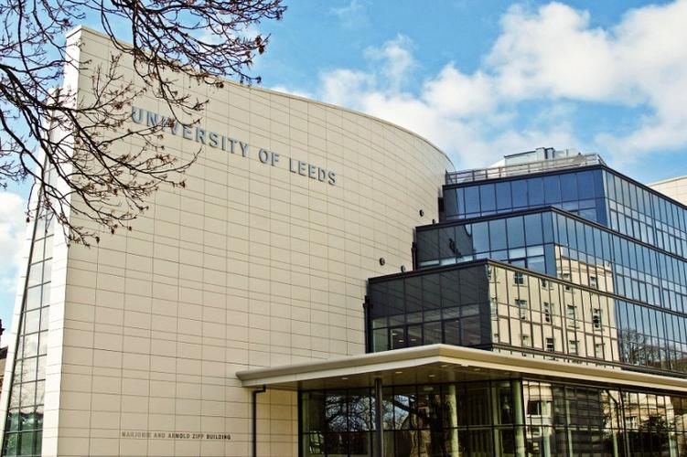 石河子商学院搬走了_石河子大学国际商务_石河子大学商学院