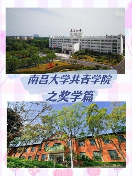 南昌录取分数线2021_南昌大学2019录取分数线_南昌的大学录取分数线2020