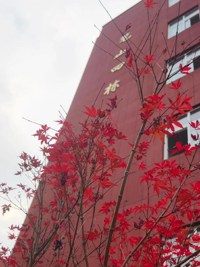 黔南民族师范高等专科学校代码_黔南民族师范学院专科学校_黔西南民族师范高等专科学校