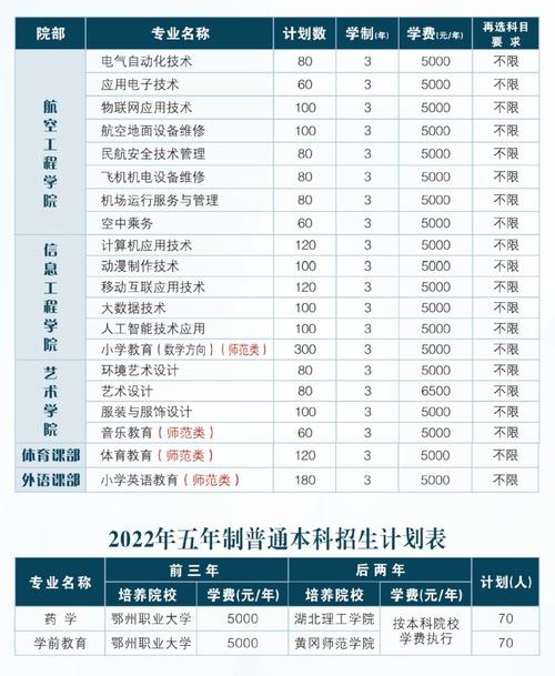 武汉职业技术学院医学类专业_武汉大学医学院职业技术学院_武汉职业技术学院临床医学