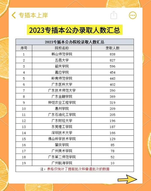 中南大学招生在线_湖南双一流大学招生信息_2019湖南高校招生政策解读