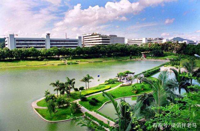 深圳大学 分数线_深圳大学专业录取情况_深圳大学录取情况