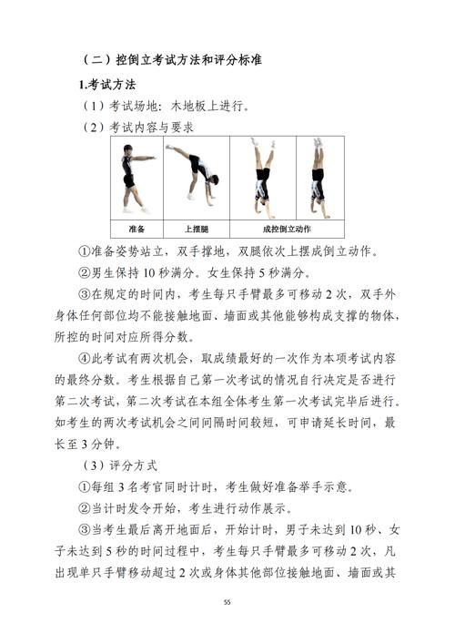 广东省高考体育类考试新增项目_体育高考新增啦啦操和街舞_广东省2024年高考体育类专业考试项目