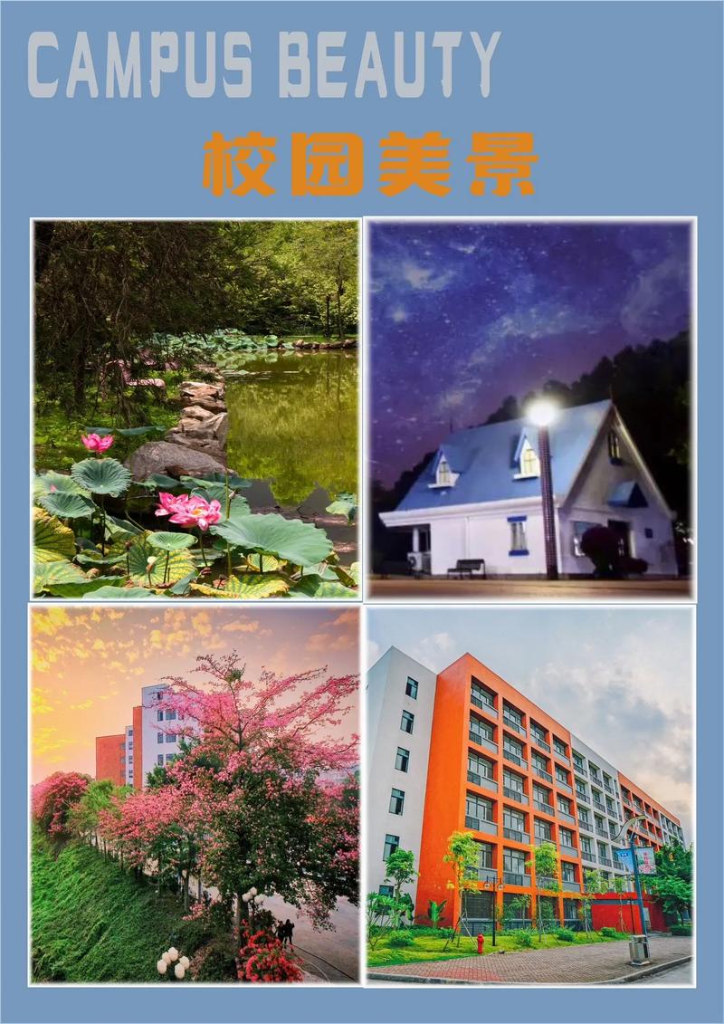 IT类专业院校_广州大学华软软件学院怎么样_广州大学华软软件学院