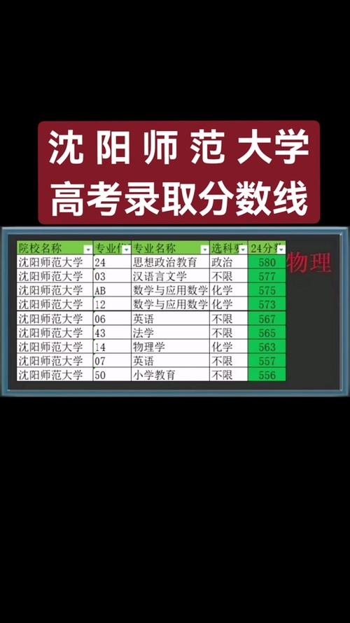 沈阳师范大学4+0本科项目_中美合作办学沈阳师范大学_2024年沈阳师范大学国际商学院录取分数线（所有专业分数线一览表公布）