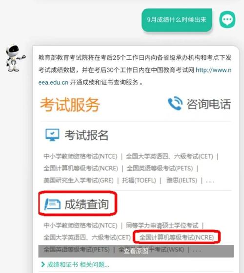 中国教育考试网成绩查询入口_2024年9月全国计算机等级考试成绩查询时间_国家计算机二级考试成绩查询