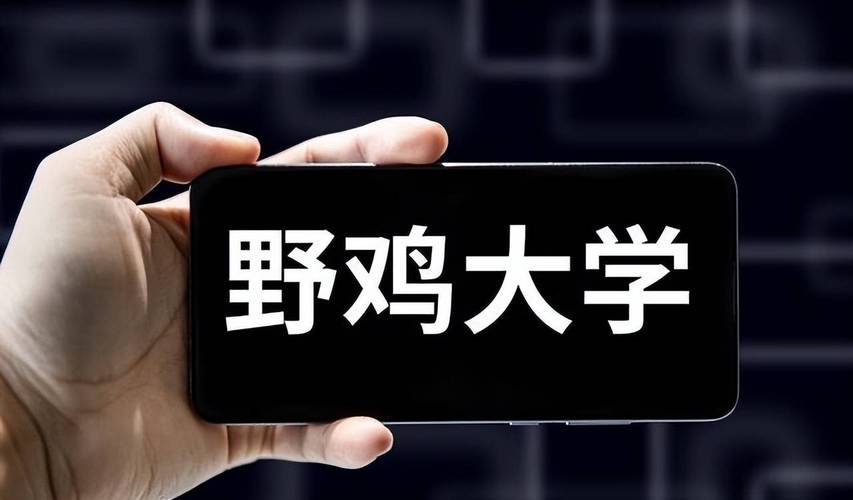 武汉东湖学院野鸡大学澄清_北京邮电大学野鸡大学澄清_武汉东湖学院分数线