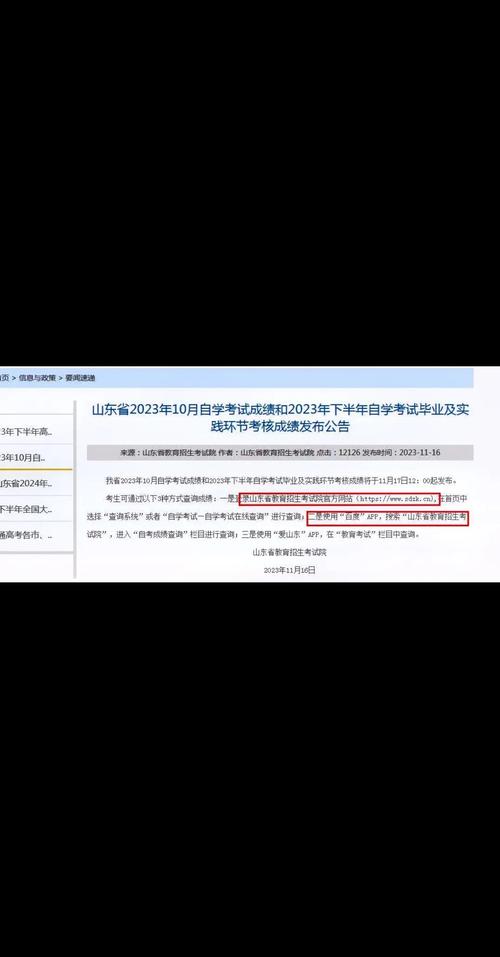 学考成绩查询2021怎么查_山东自考成绩查询入口官网_2024年10月山东自考会计学成绩查询时间