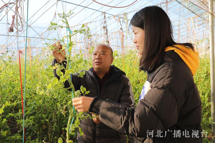农业职业技术大学_农业职业大学技术学院官网_农业职业技术学院百度贴吧