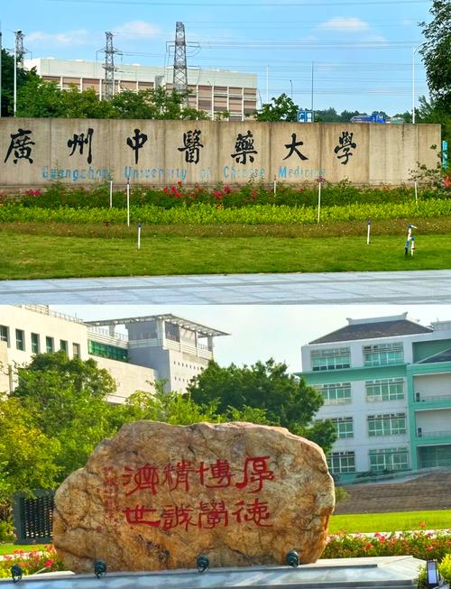 中医学院录取分数线_广州中医药大学录取规则_广州中医药大学招生简章