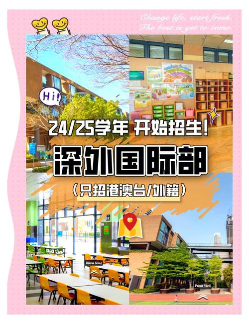 深圳外国语学校国际部招生要求_郑州外国语学校国际部_SWIS入学测试CAT4