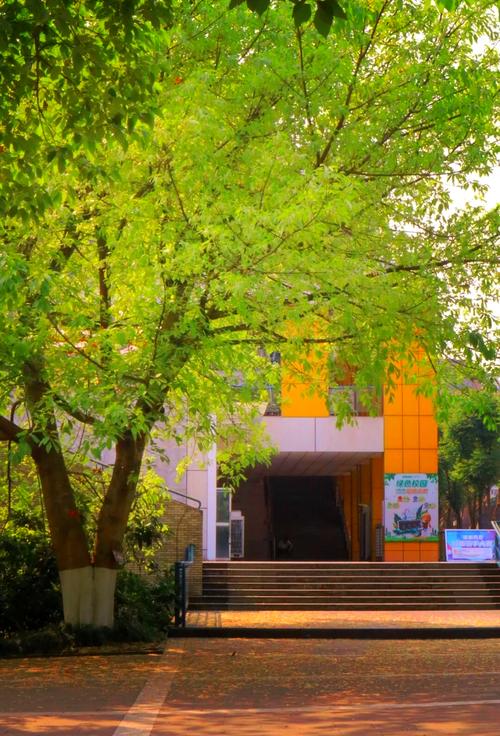 重庆合川大学排名_重庆西南大学育才学院_重庆合川高校介绍