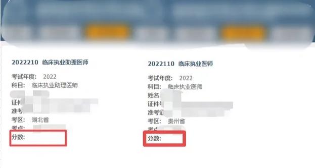 医学考试中心成绩查询_医师资格考试成绩查询攻略_医师资格考试成绩单下载方法