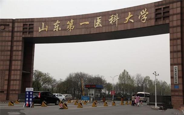潍坊医学院录取数据_山东医学院口腔医学专业_潍坊医学院专科分数线