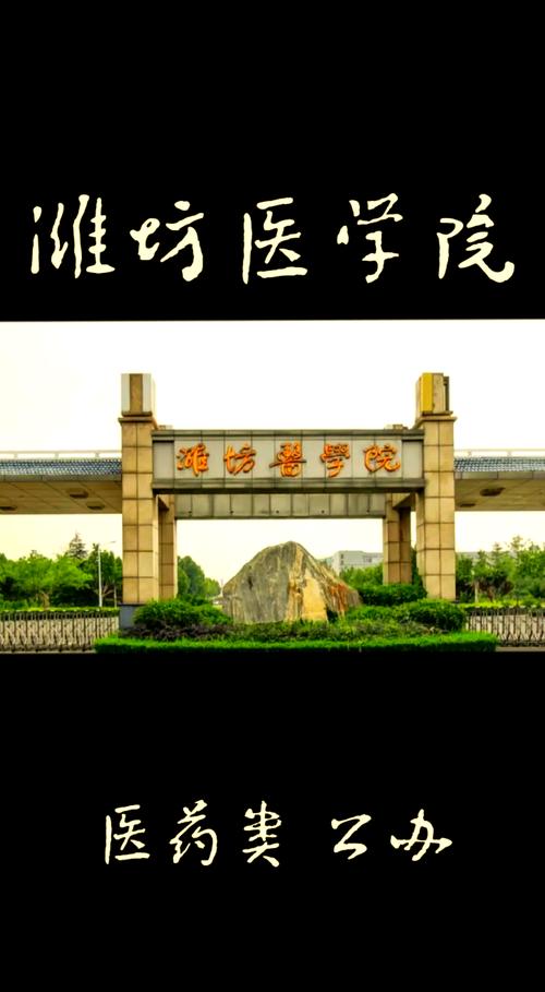 潍坊医学院录取数据_潍坊医学院专科分数线_山东医学院口腔医学专业