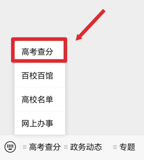 湖北高考分数查询入口官网_湖北高考分数杳询_湖北高考分数查询入口手机版