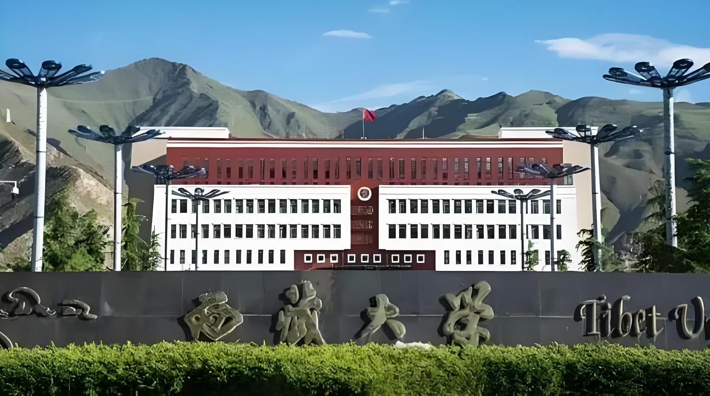 偏远地区211大学招生困难_西藏大学录取分数线2022_西藏大学招生困境