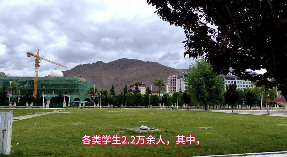 西藏大学录取分数线2022_西藏大学招生困境_偏远地区211大学招生困难
