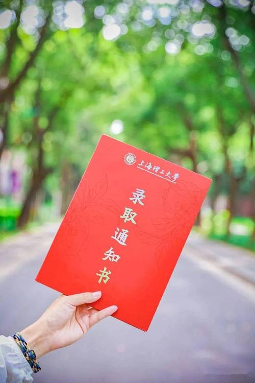 华中科技大学文华学院录取分数线_文华学院2024年本科招生首封录取通知书_数字媒体艺术专业录取最高分