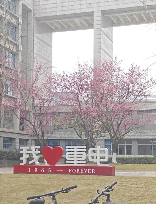 重庆电子工程职业学院性质_重庆电子工程职业学院分数线_重庆电子工程职业学院几本