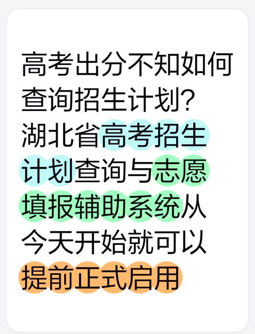 湖北省高考网上填报志愿_高考查分网站登录2020_2025年湖北高考成绩查询