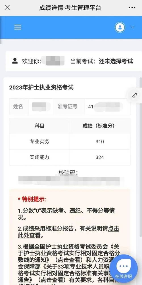 护士执业资格考试成绩查询 _ 中国卫生人才网成绩查询 _护师成绩查询入口2020