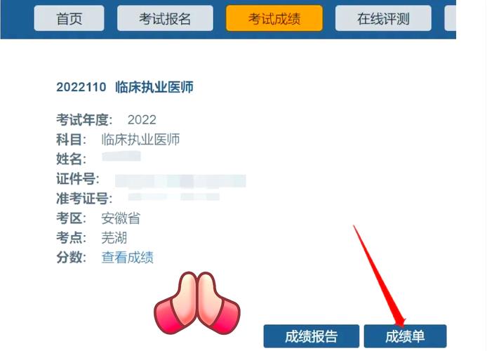 2021年执业医师资格考试二试成绩查询 _执业医师成绩查询入口官网_ 国家医学考试网成绩查询入口 