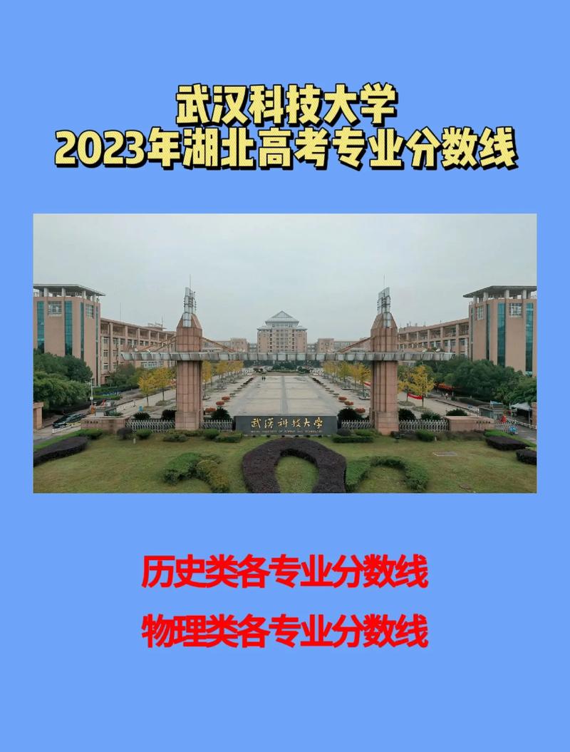  武汉职业技术大学本科招生 __2024年武汉科技大学城市学院录取分数线（所有专业分数线一览表公布）
