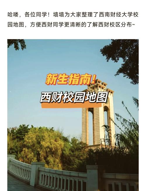 西南财经师范大学柳林校区分数线表格_西南财经大学2013年录取分数线_西南财经师范大学柳林校区2020年录取分数线