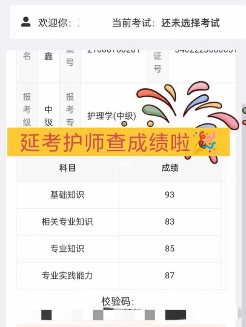 主管护师考试成绩查询_2016主管护师成绩查询时间_主管护师考试2016成绩查询入口